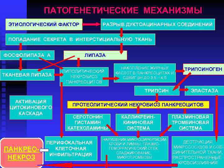 ПАТОГЕНЕТИЧЕСКИЕ МЕХАНИЗМЫ ЭТИОЛОГИЧЕСКИЙ ФАКТОР РАЗРЫВ ДУКТОАЦИНАРНЫХ СОЕДИНЕНИЙ ПОПАДАНИЕ СЕКРЕТА В ИНТЕРСТИЦИАЛЬНУЮ ТКАНЬ ФОСФОЛИПАЗА А