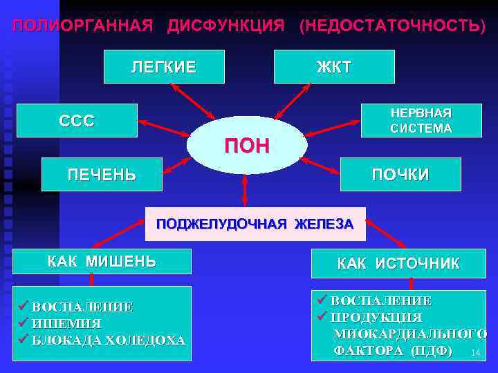 ПОЛИОРГАННАЯ ДИСФУНКЦИЯ (НЕДОСТАТОЧНОСТЬ) ЛЕГКИЕ ЖКТ НЕРВНАЯ СИСТЕМА ССС ПОН ПЕЧЕНЬ ПОЧКИ ПОДЖЕЛУДОЧНАЯ ЖЕЛЕЗА КАК