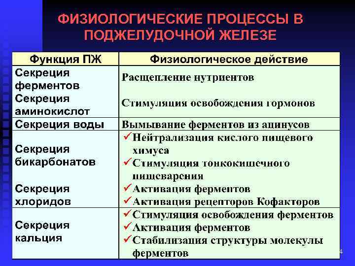 ФИЗИОЛОГИЧЕСКИЕ ПРОЦЕССЫ В ПОДЖЕЛУДОЧНОЙ ЖЕЛЕЗЕ 4 