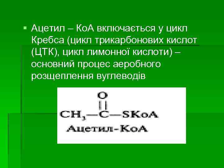 § Ацетил – Ко. А включається у цикл Кребса (цикл трикарбонових кислот (ЦТК), цикл