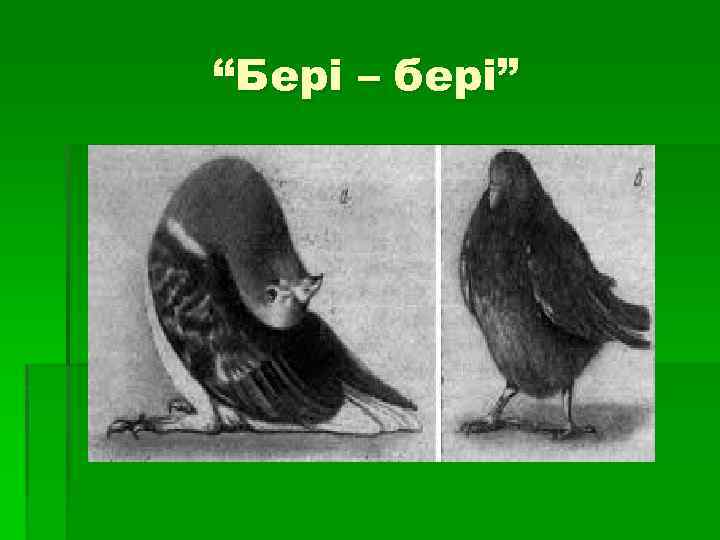 “Бері – бері” 