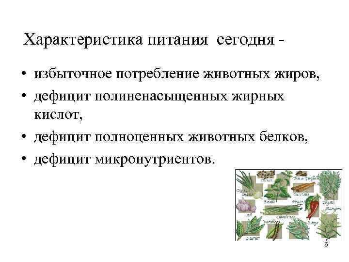 Характеристика пищевых. Характеристика питания. Параметры питания. Характеристика еды. Избыточное потребление животных жиров.