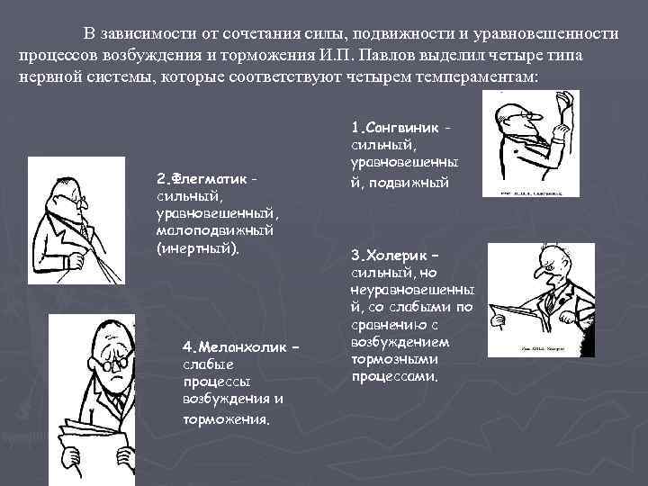 В зависимости от сочетания силы, подвижности и уравновешенности процессов возбуждения и торможения И. П.
