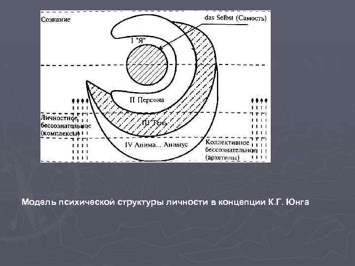 Модель психической структуры личности в концепции К. Г. Юнга 