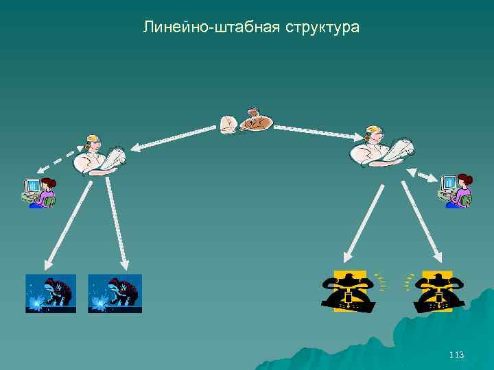 Линейно-штабная структура 113 
