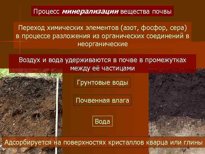 Схема значение почвы в природе и жизни людей