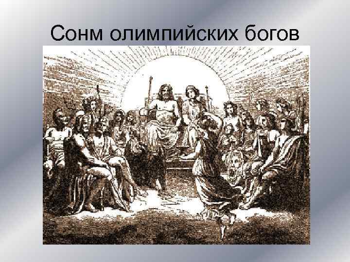 Сонм олимпийских богов 