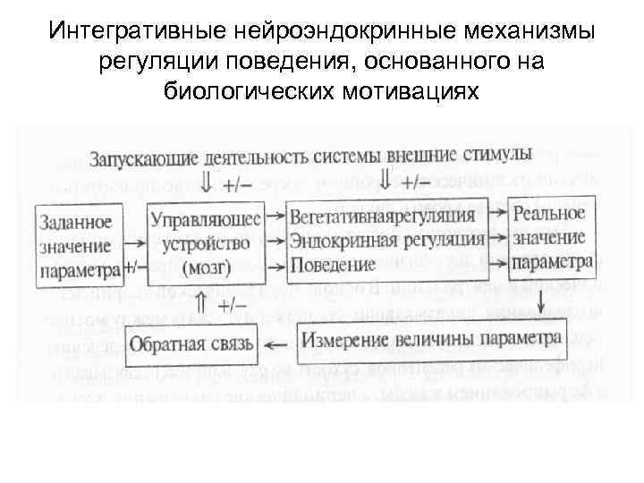 Интегративные нейроэндокринные механизмы регуляции поведения, основанного на биологических мотивациях 