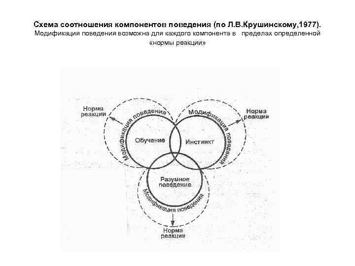 Схема соотношения компонентов поведения (по Л. В. Крушинскому, 1977). Модификация поведения возможна для каждого