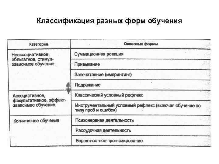Классификация разных форм обучения 