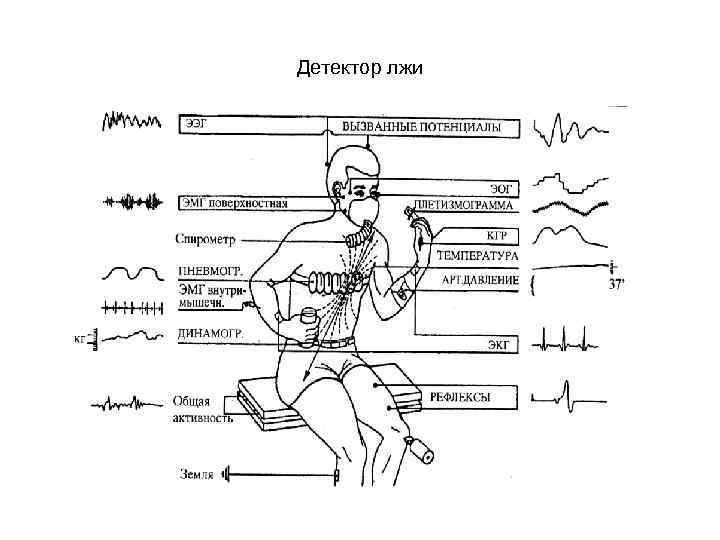 Детектор лжи 