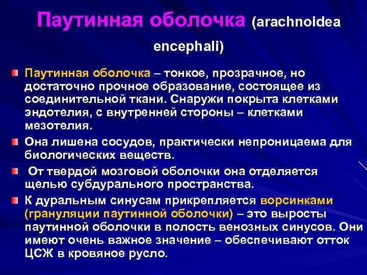 Паутинная оболочка (arachnoidea encephali) Паутинная оболочка – тонкое, прозрачное, но достаточно прочное образование, состоящее