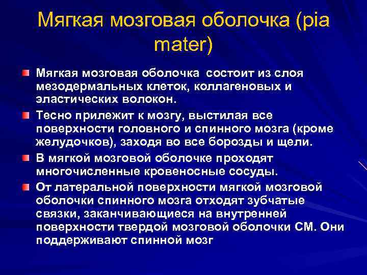 Мягкая мозговая оболочка (pia mater) Мягкая мозговая оболочка состоит из слоя мезодермальных клеток, коллагеновых