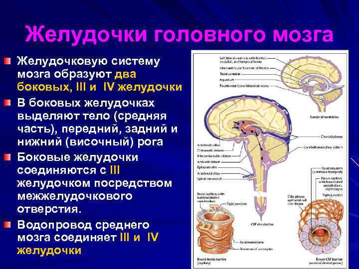 Расширение ликворных пространств головного мозга