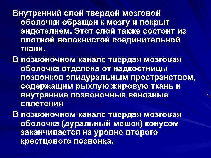 Внутренний слой твердой мозговой оболочки обращен к мозгу и покрыт эндотелием. Этот слой также