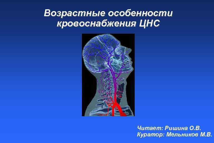 Возрастные особенности кровоснабжения ЦНС Читает: Ришина О. В. Куратор: Мельников М. В. 