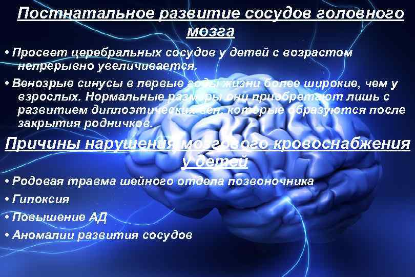 Постнатальное развитие сосудов головного мозга • Просвет церебральных сосудов у детей с возрастом непрерывно