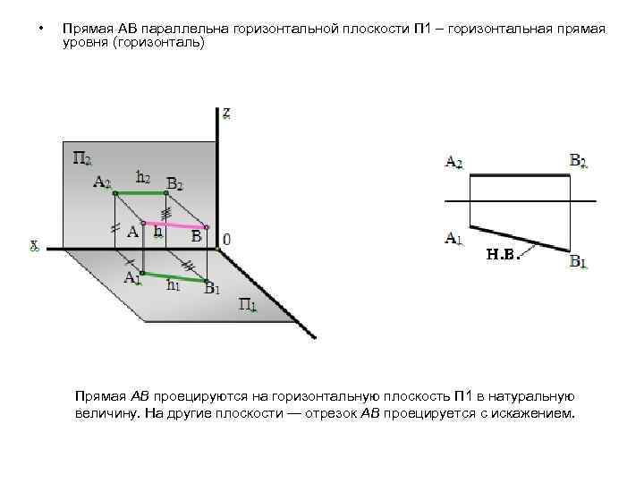 • Прямая АВ параллельна горизонтальной плоскости П 1 – горизонтальная прямая уровня (горизонталь)