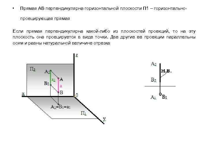  • Прямая АВ перпендикулярна горизонтальной плоскости П 1 – горизонтальнопроецирующая прямая Если прямая