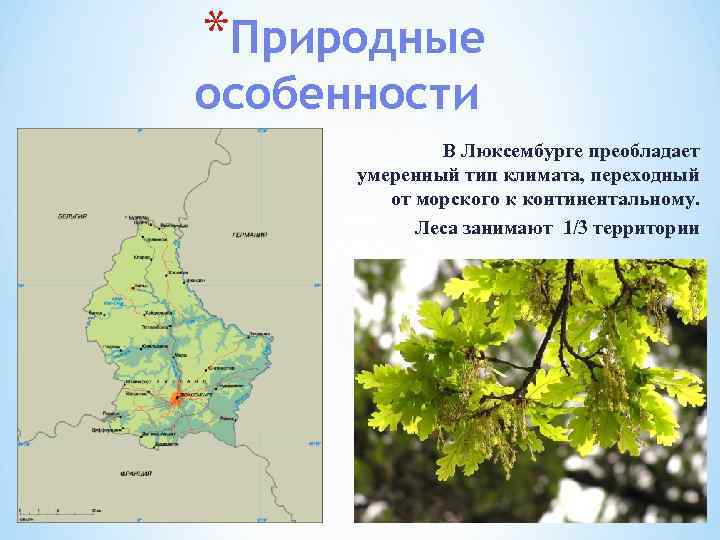 *Природные особенности В Люксембурге преобладает умеренный тип климата, переходный от морского к континентальному. Леса