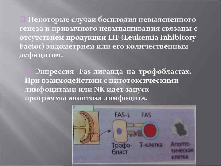  Некоторые случаи бесплодия невыясненного генеза и привычного невынашивания связаны с отсутствием продукции LIF