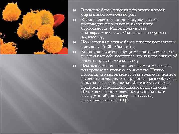 Иммунология беременности презентация