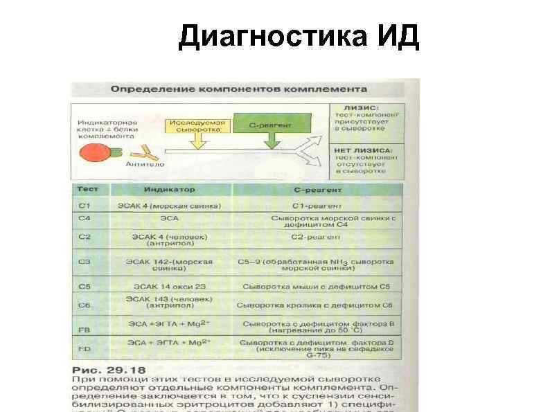 Диагностика ИД 