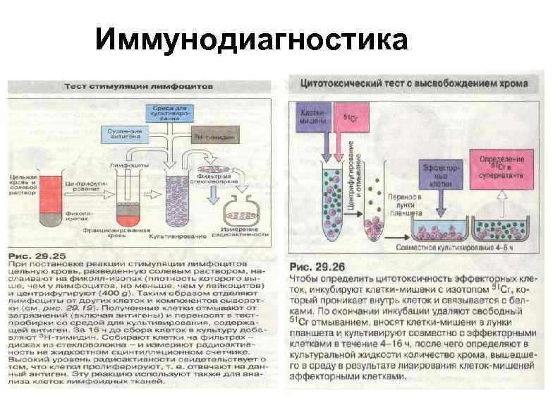 Иммунодиагностика 