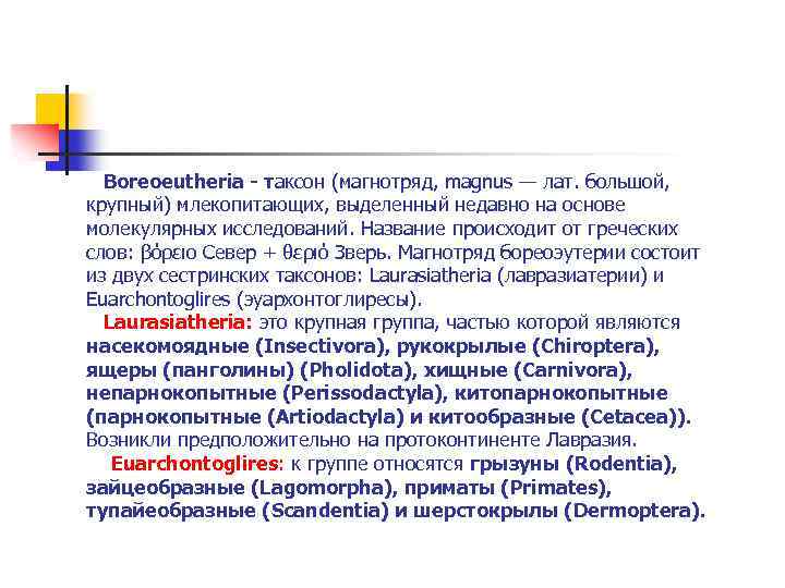  Boreoeutheria - таксон (магнотряд, magnus — лат. большой, крупный) млекопитающих, выделенный недавно на