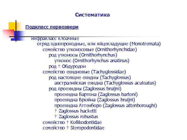  Систематика Подкласс первозвери инфракласс клоачные отряд однопроходные, или яйцекладущие (Monotremata) семейство утконосовые (Ornithorhynchidae)