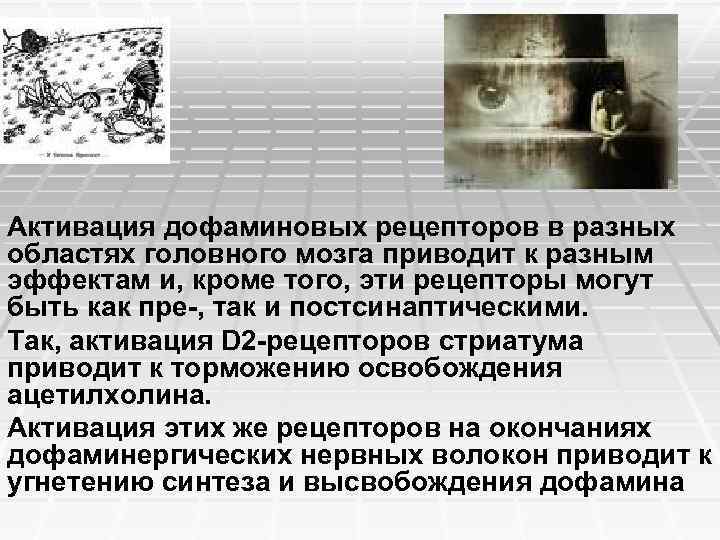 Активация дофаминовых рецепторов в разных областях головного мозга приводит к разным эффектам и, кроме