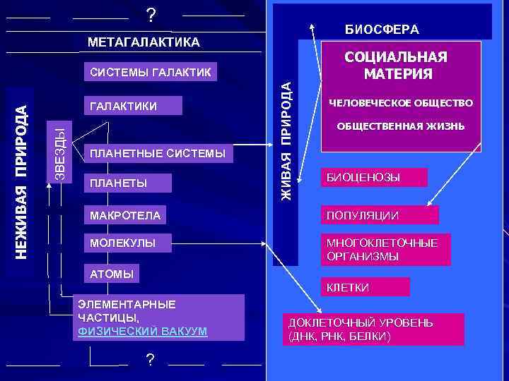 ? БИОСФЕРА МЕТАГАЛАКТИКА ПЛАНЕТНЫЕ СИСТЕМЫ ПЛАНЕТЫ Ж И ВАЯ П Р И Р О