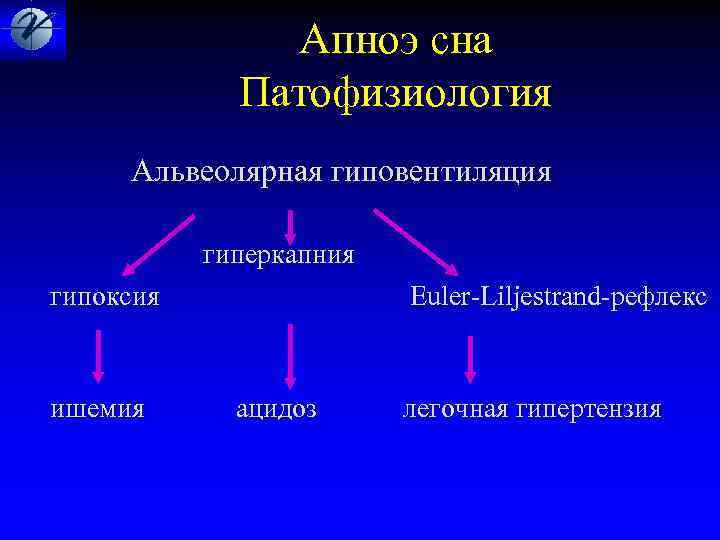 Гипоксия и гиперкапния. Гиперкапния патофизиология. Гиповентиляция и гиперкапния. Гиперкапния при гиповентиляции.