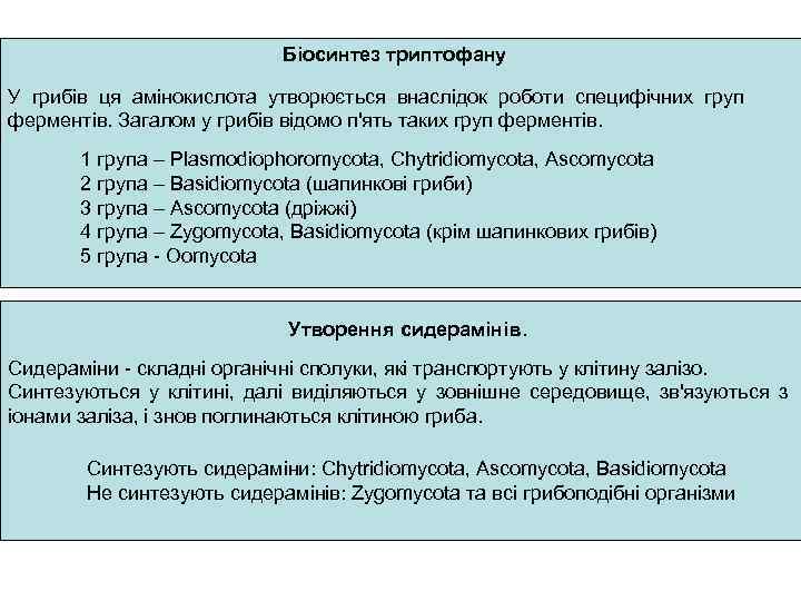 Біосинтез триптофану У грибів ця амінокислота утворюється внаслідок роботи специфічних груп ферментів. Загалом у