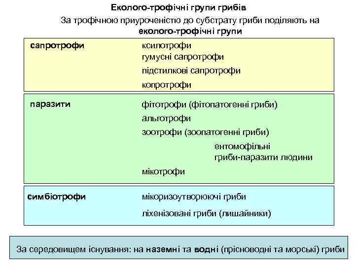 Еколого-трофічні групи грибів За трофічною приуроченістю до субстрату гриби поділяють на еколого-трофічні групи сапротрофи