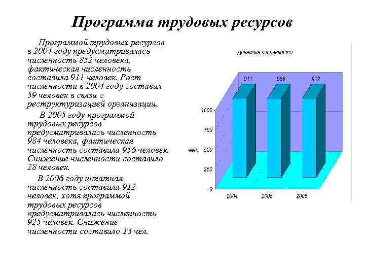 Программа трудовых ресурсов Программой трудовых ресурсов в 2004 году предусматривалась численность 852 человека, фактическая