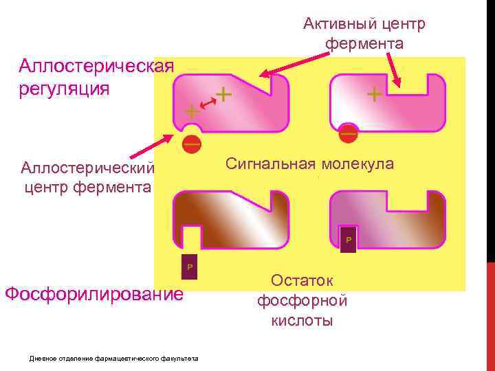 Активный центр фермента