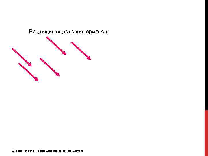 Регуляция выделения гормонов Дневное отделение фармацевтического факультета 