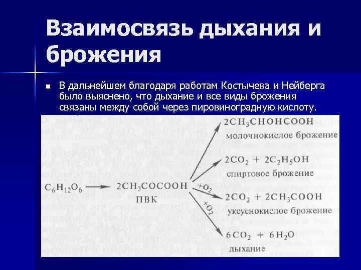 Сравнение брожения и дыхания. Процесс дыхания и брожения. Взаимосвязь брожения и дыхания. Генетическая взаимосвязь дыхания и брожения.. Этапы процесса брожения и дыхания.