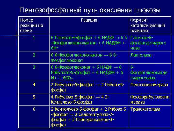 Пентозофосфатный путь окисления глюкозы Номер реакции на схеме Реакция Фермент катализирующий реакцию 1 6