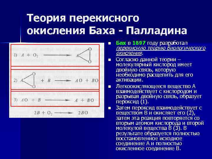 Теория перекисного окисления Баха - Палладина n Бах в 1897 году разработал n Согласно