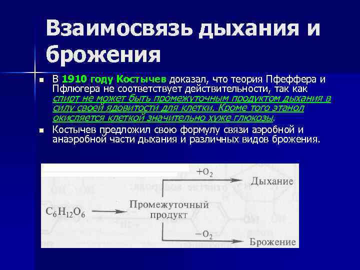 Биологическое окисление функции