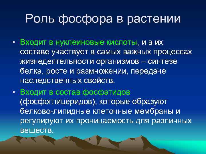 Роль фосфора в растении • Входит в нуклеиновые кислоты, и в их составе участвует