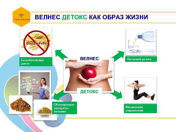 ВЕЛНЕС ДЕТОКС КАК ОБРАЗ ЖИЗНИ ВЕЛНЕС Безглютеновая диета Питьевой режим ДЕТОКС Обогащенные продукты питания