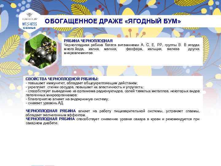  ОБОГАЩЕННОЕ ДРАЖЕ «ЯГОДНЫЙ БУМ» РЯБИНА ЧЕРНОПЛОДНАЯ Черноплодная рябина богата витаминами А, С, Е,