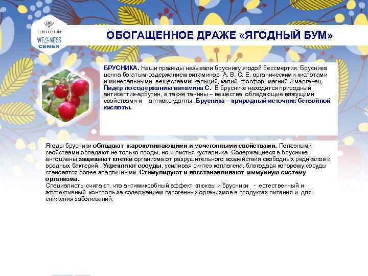  ОБОГАЩЕННОЕ ДРАЖЕ «ЯГОДНЫЙ БУМ» БРУСНИКА. Наши прадеды называли бруснику ягодой бессмертия. Брусника ценна
