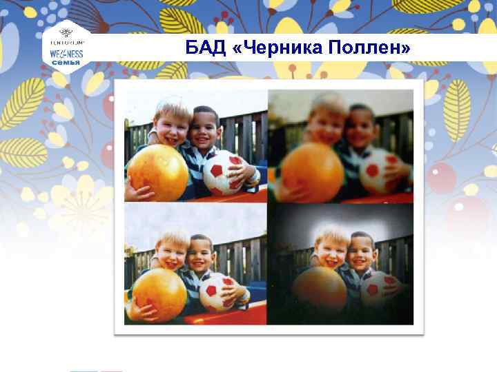  БАД «Черника Поллен» 