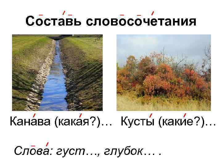Составь словосочетания Канава (какая? )… Кусты (какие? )… Слова: густ…, глубок…. 