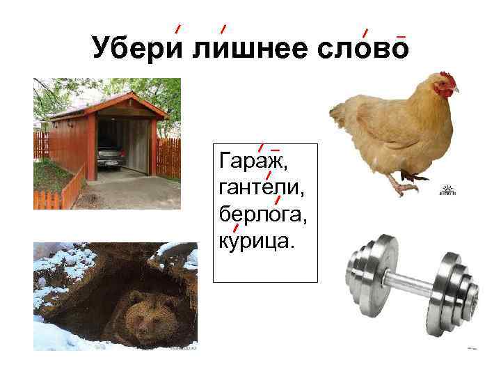 Убери лишнее слово Гараж, гантели, берлога, курица. 