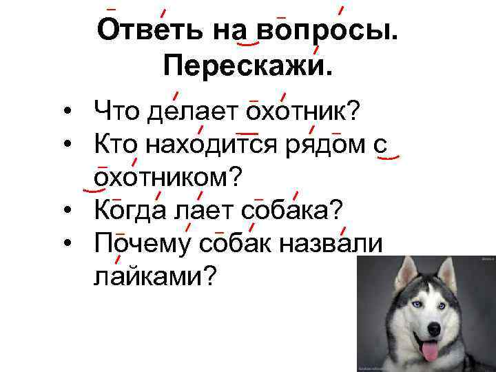 Ответь на вопросы. Перескажи. • Что делает охотник? • Кто находится рядом с охотником?